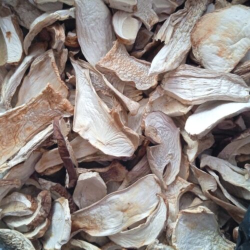 10BBF60A-C4A2-4F52-9