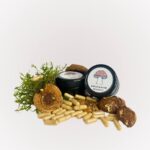 Королівський мухомор в капсулах для мікродозингу