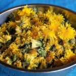 Фіточай Карпатський з Кульбаби (Одуванчик)