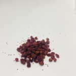 Суниця (Лісова ягода з Карпат)