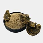 Траметес різнокольоровий мелений