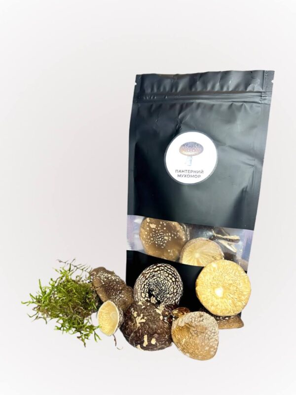 Капелюшки пантерного мухомора