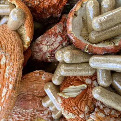 8ABF832B-B107-4FC8-B