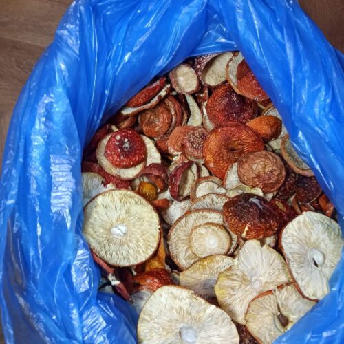 99FBBB10-6AA9-4FC1-A