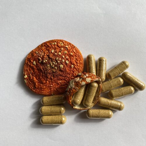 Сушені шляпки червоного мухомора і капсули для мікродозингу