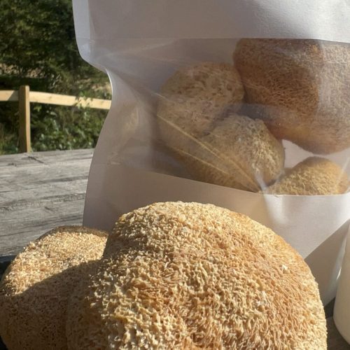 цілі плодові тіла їжовика гребінчастого