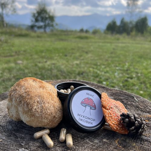 мікс червоний мухомор та їжовик гребінчастий