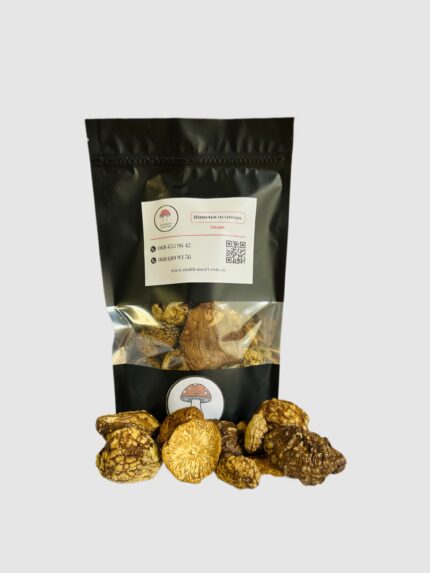 Капелюшки королівського мухомора