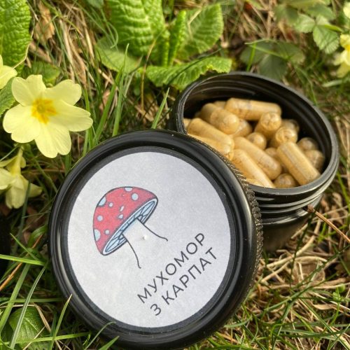 Мікродозинг мухомора в капсулах у баночці