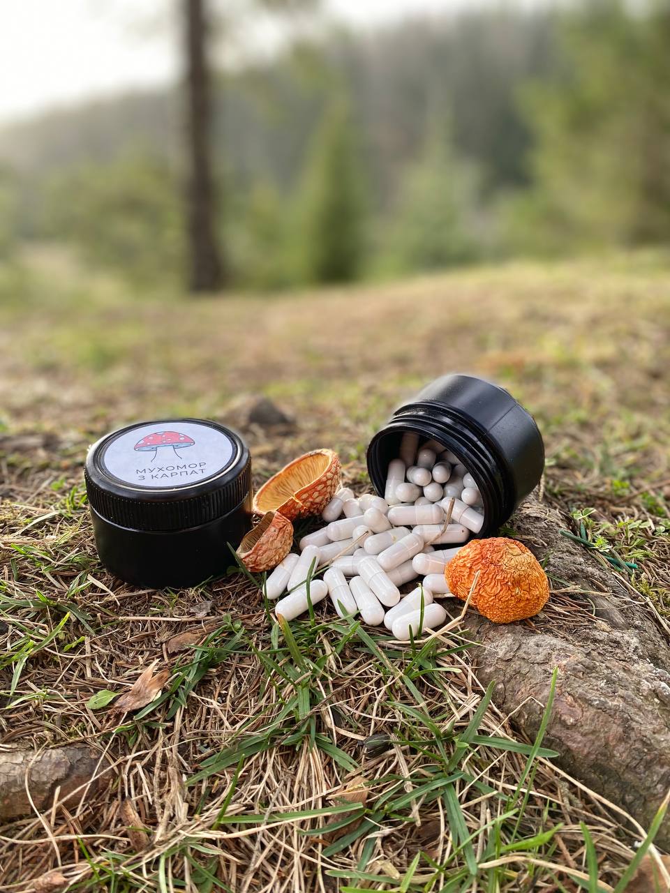червоний мухомор для сну та нервової системи