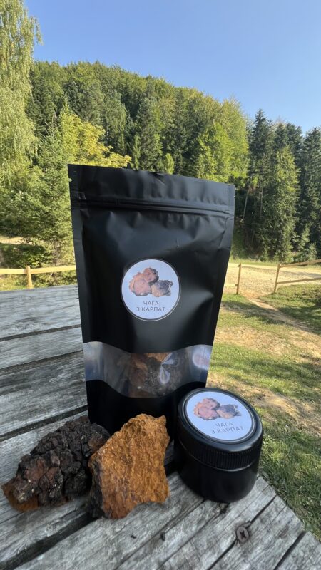 Чага — березовий гриб з Карпат. Натуральний засіб для імунітету, очищення організму та підтримки енергії.