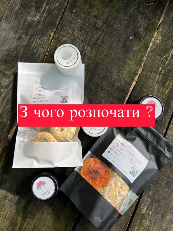 Червоний мухомор як основа грибного курсу для нервової системи